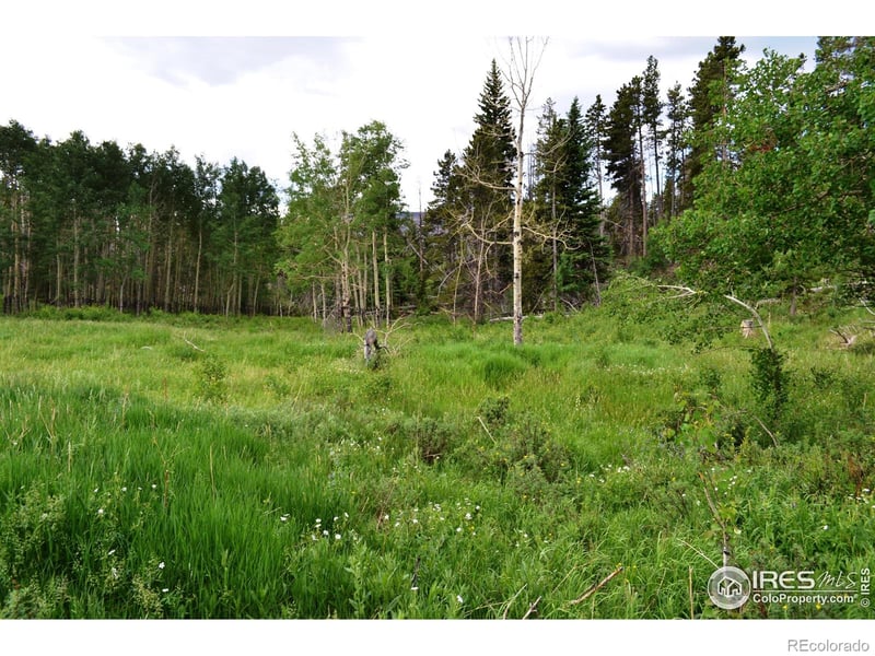1256 Basking Dog Rd, Bellvue, CO 80512