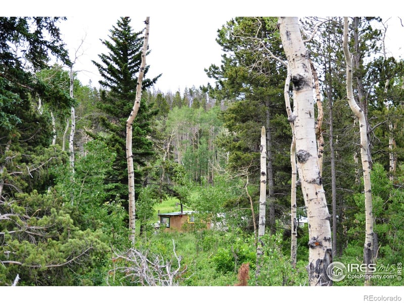 1256 Basking Dog Rd, Bellvue, CO 80512