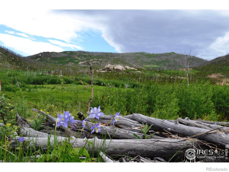 1256 Basking Dog Rd, Bellvue, CO 80512