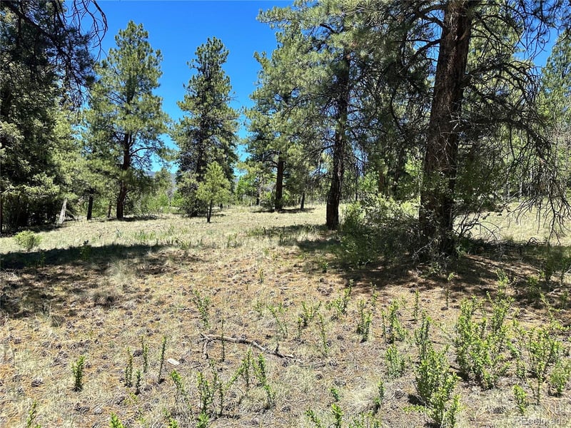 545 Church Creek Dr, South Fork, CO 81154