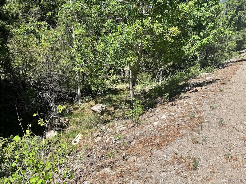 545 Church Creek Dr, South Fork, CO 81154