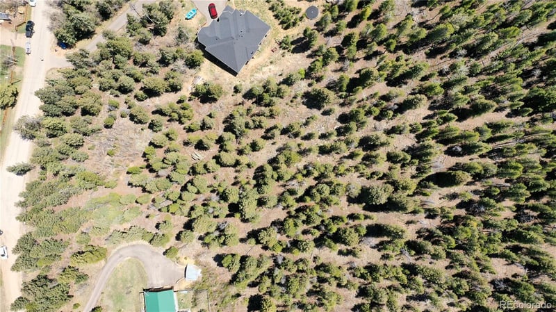 1008 S Pine Dr, Bailey, CO 80421