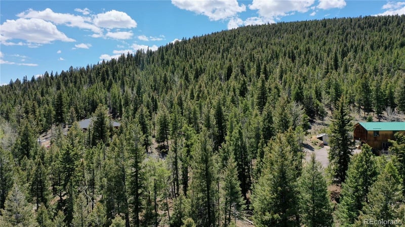 1008 S Pine Dr, Bailey, CO 80421