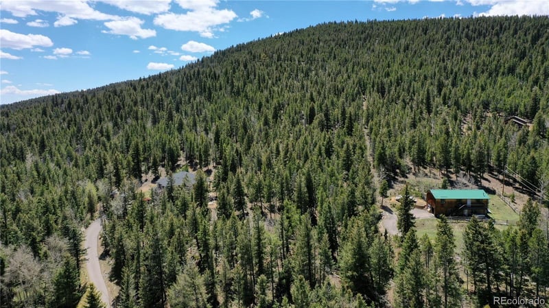 1008 S Pine Dr, Bailey, CO 80421