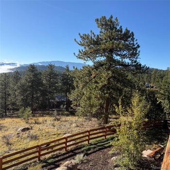 114 Star Ln, Bailey, CO 80421