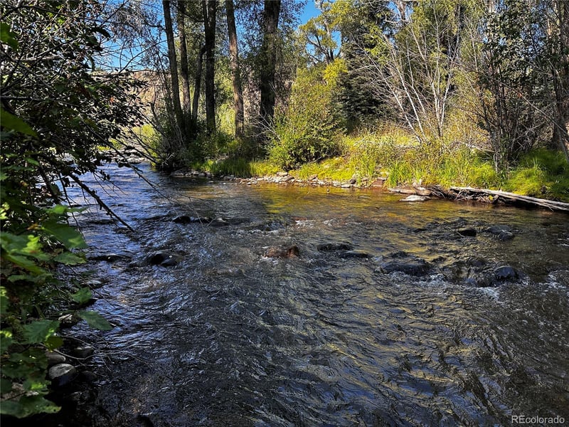 169209 Escondida Dr, South Fork, CO 81154