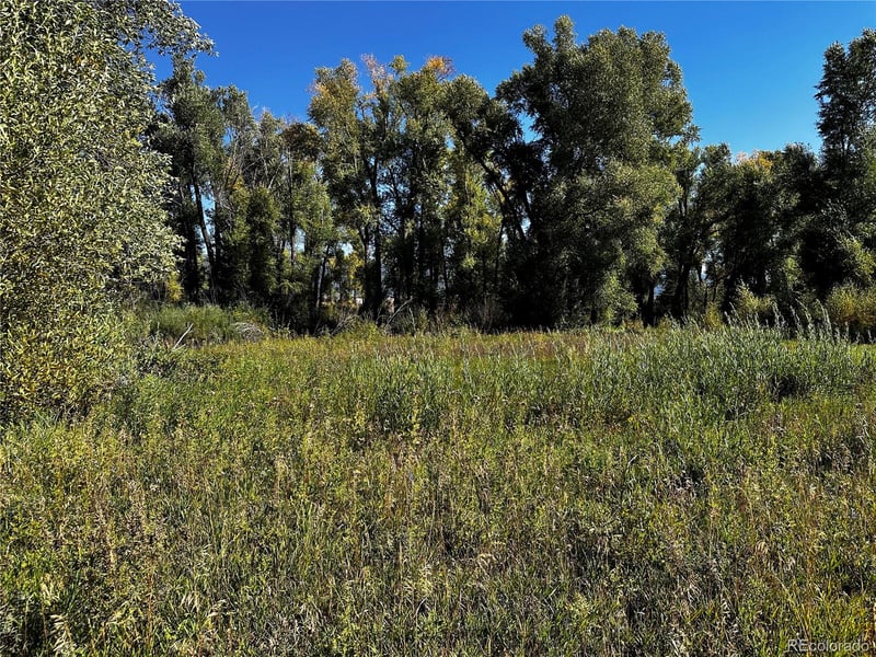 169209 Escondida Dr, South Fork, CO 81154