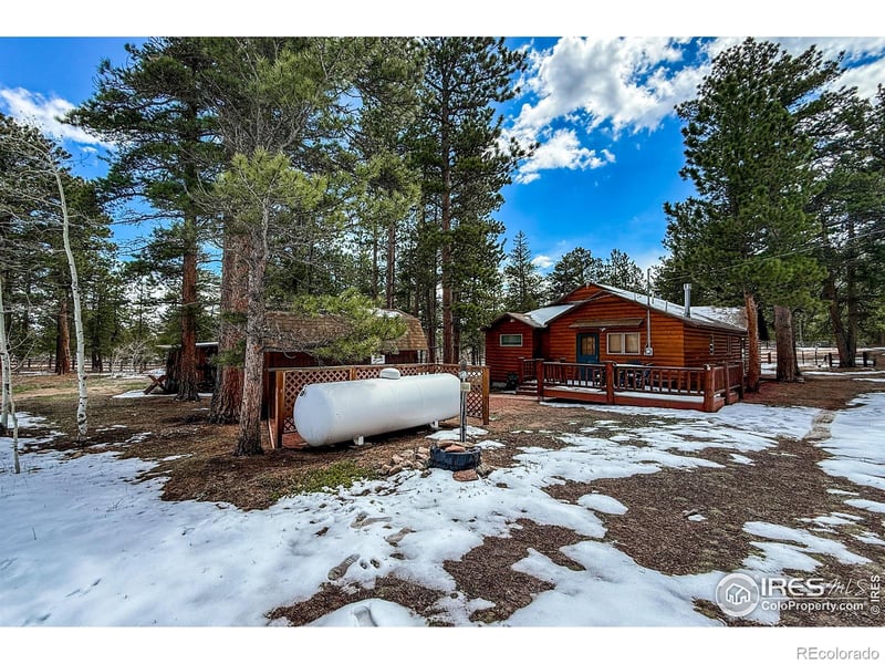 6 Norske Trl, Allenspark, CO 80510