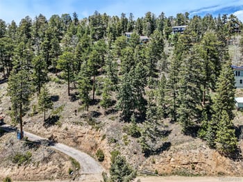 11618 Nichols Way, Conifer, CO 80433
