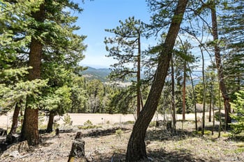 11618 Nichols Way, Conifer, CO 80433