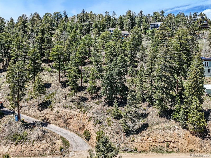 11618 Nichols Way Lot 23, Conifer, CO 80433