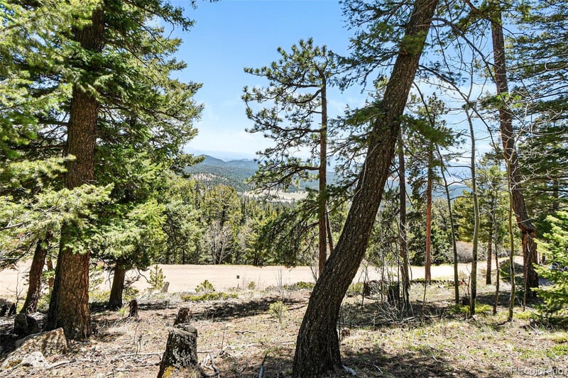 11618 Nichols Way Lot 23, Conifer, CO 80433