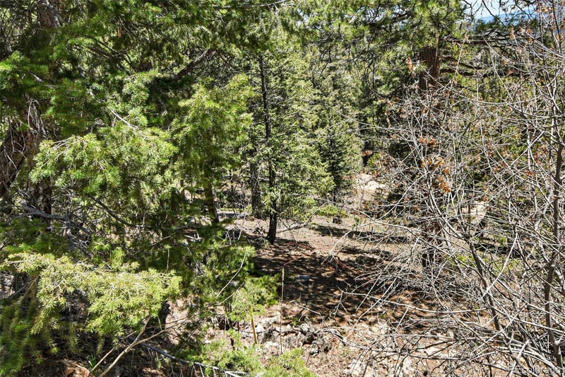 11618 Nichols Way Lot 23, Conifer, CO 80433