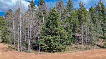 3075 Mountain Estates Rd, Florissant, CO 80816
