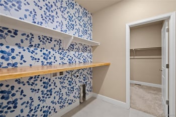 3844 Sandy Vista Ln, Castle Rock, CO 80104