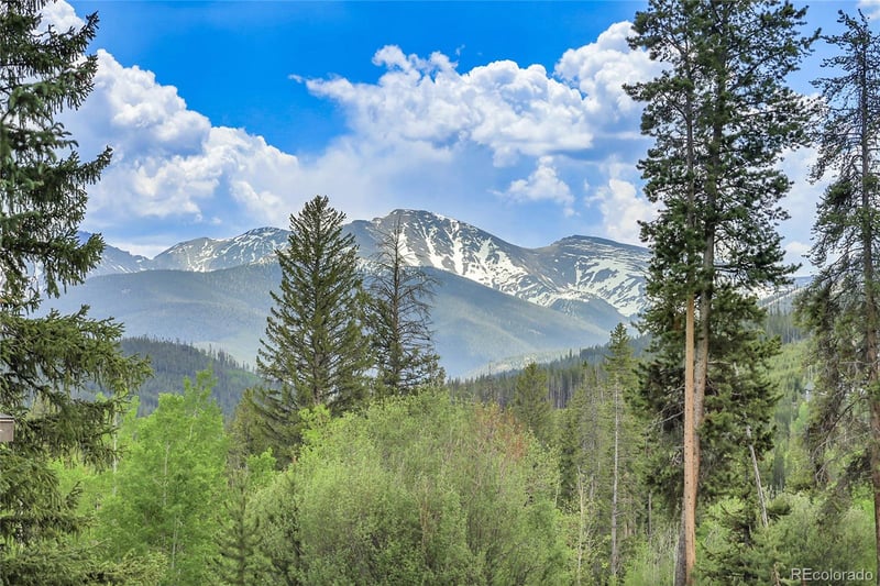 147 Forest Trl #3, Winter Park, CO 80482