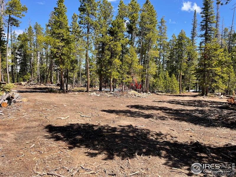 Forest Service 169 Rd #Parcel 3, Red Feather Lakes, CO 80545