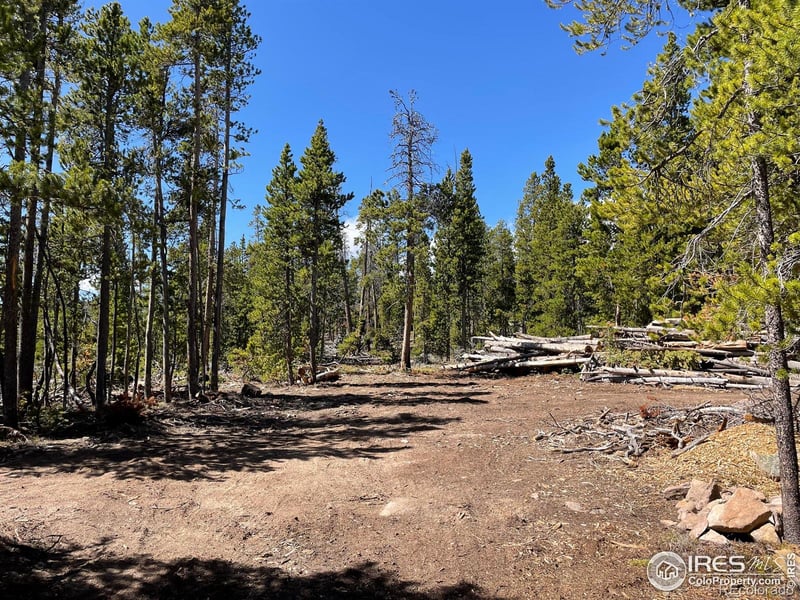 0 Forest Service 169 Rd #Parcel 3, Red Feather Lakes, CO 80545
