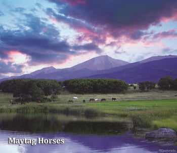 1768 Running Bear, Cotopaxi, CO 81223