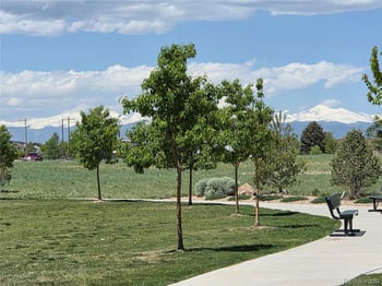 6404 Dry Fork Dr, Frederick, CO 80516