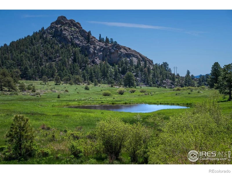 Mountain Pony Rd, Livermore, CO 80536