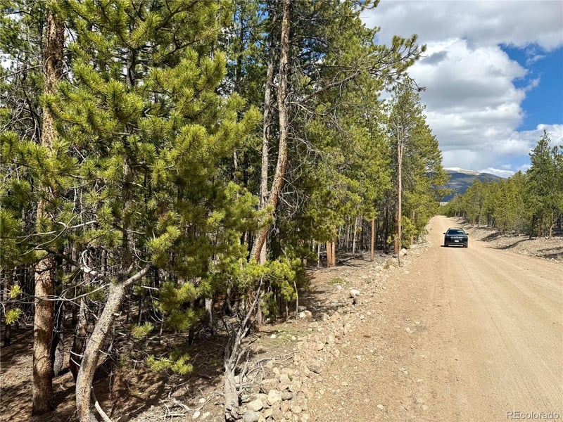 1127 Sequoia Dr, Twin Lakes, CO 80461