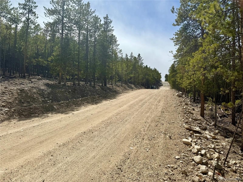 1127 Sequoia Dr, Twin Lakes, CO 80461