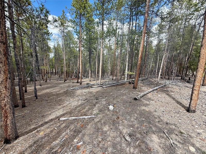 1127 Sequoia Dr, Twin Lakes, CO 80461