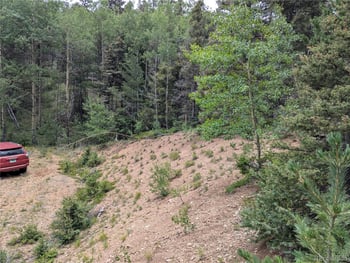 5653 Balleroy Rd, Fort Garland, CO 81133