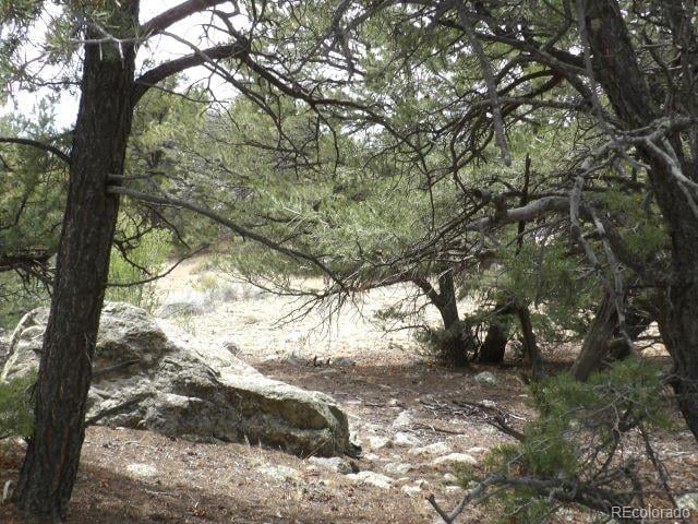 4186 Caprice Way, Crestone, CO 81131