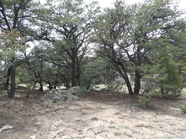 4186 Caprice Way, Crestone, CO 81131