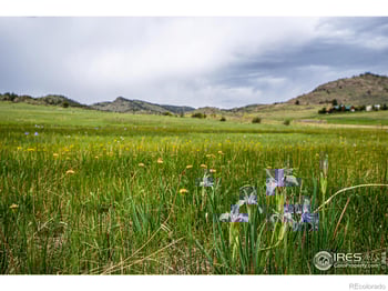 816 Meadow Way, Livermore, CO 80536