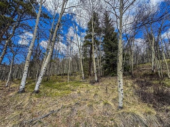 Buckeye Gulch Rd, Leadville, CO 80461