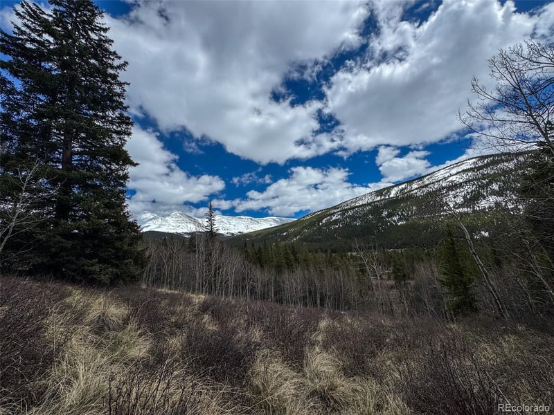 Buckeye Gulch Rd, Leadville, CO 80461