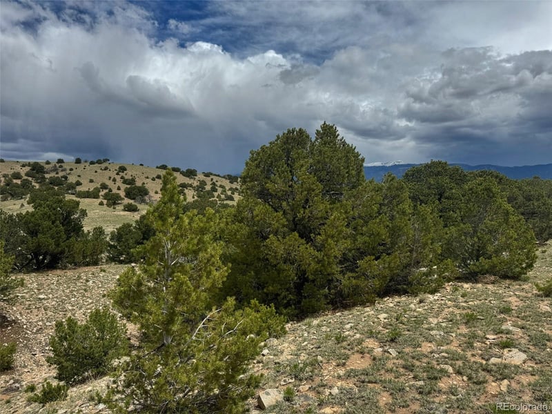 Cl&g 29 Dd, Gardner, CO 81040