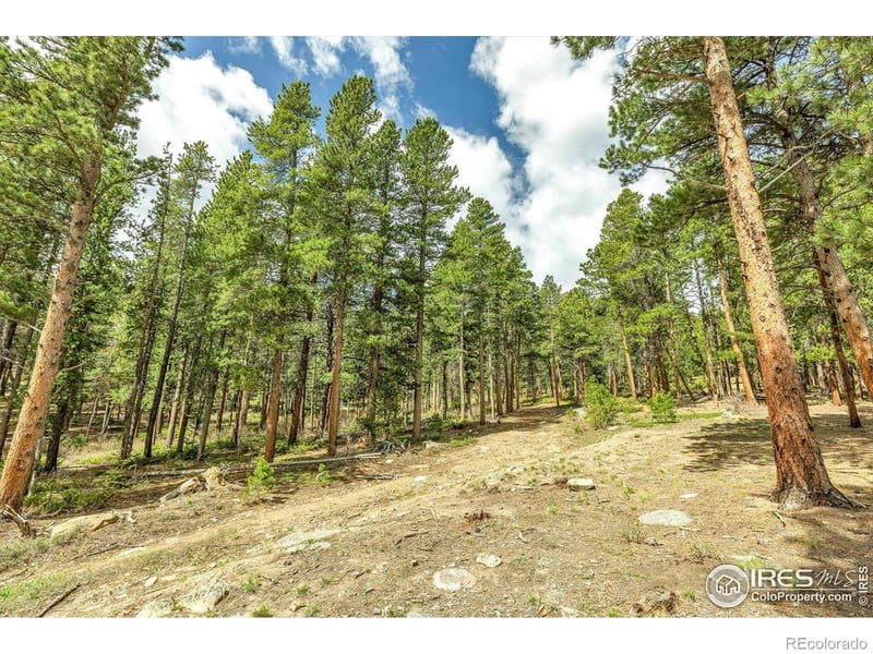765 W 1st St, Nederland, CO 80466