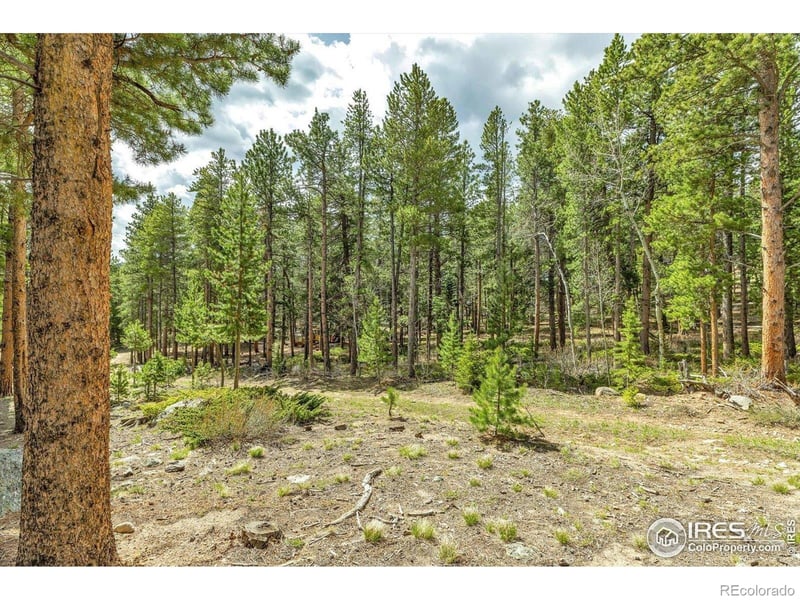 765 W 1st St, Nederland, CO 80466