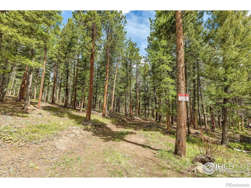 765 W 1st St, Nederland, CO 80466