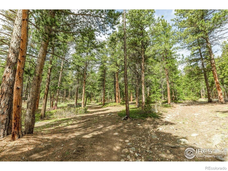 765 W 1st St, Nederland, CO 80466