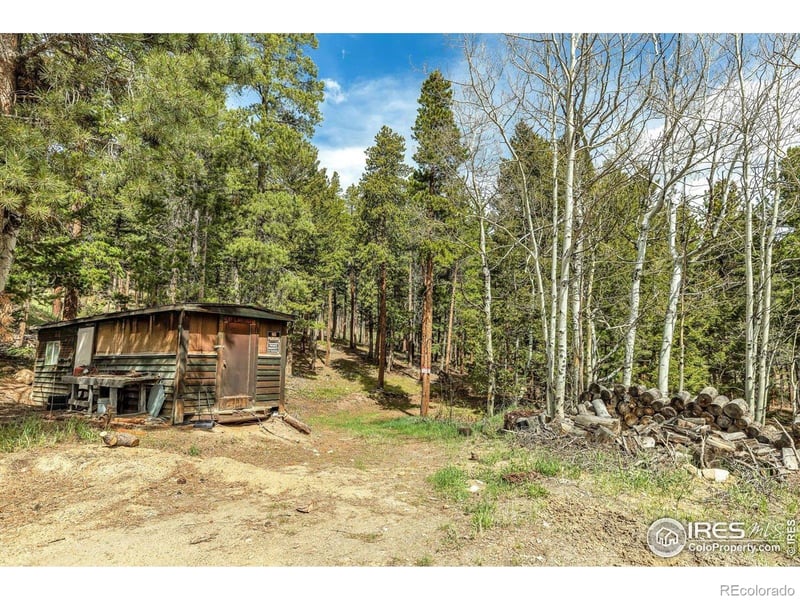765 W 1st St, Nederland, CO 80466