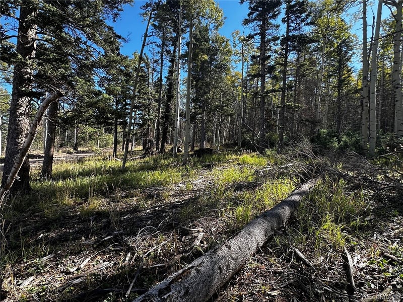 Lot 2652 Petito Dr, Fort Garland, CO 81133