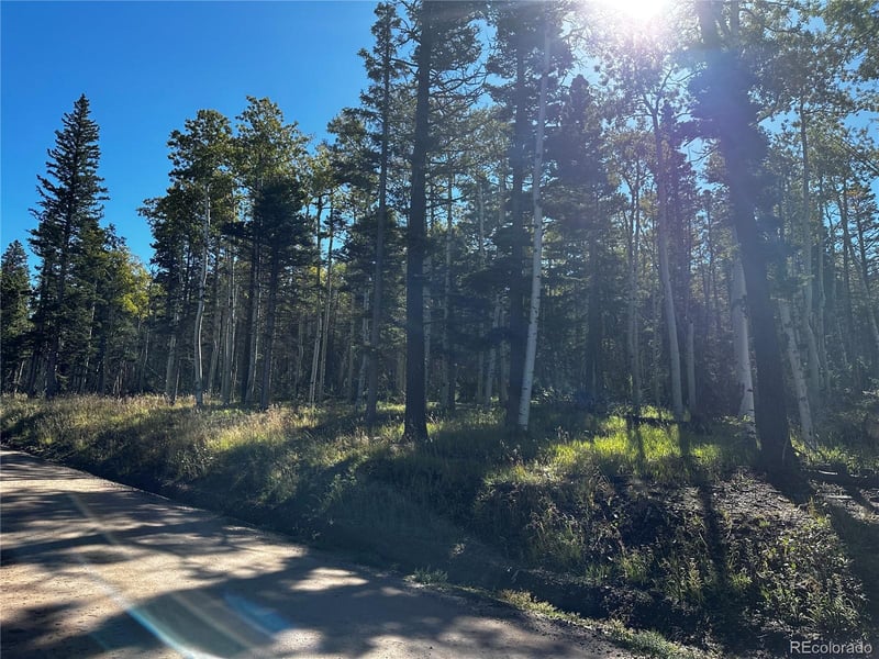 Lot 2652 Petito Dr Lot 2652, Fort Garland, CO 81133