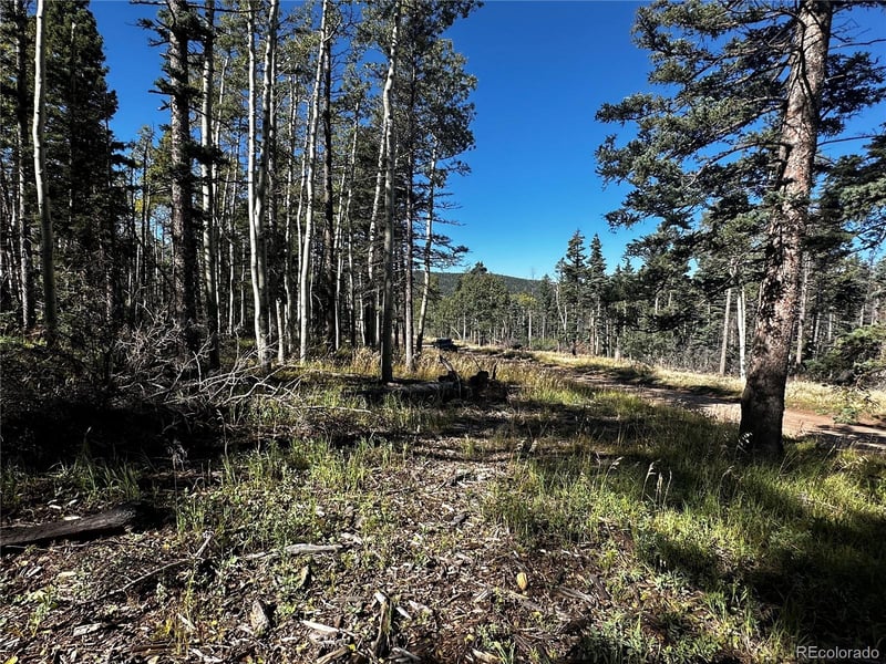 Lot 2652 Petito Dr Lot 2652, Fort Garland, CO 81133