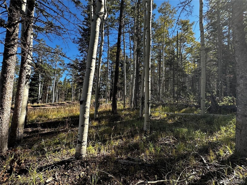 Lot 2652 Petito Dr Lot 2652, Fort Garland, CO 81133