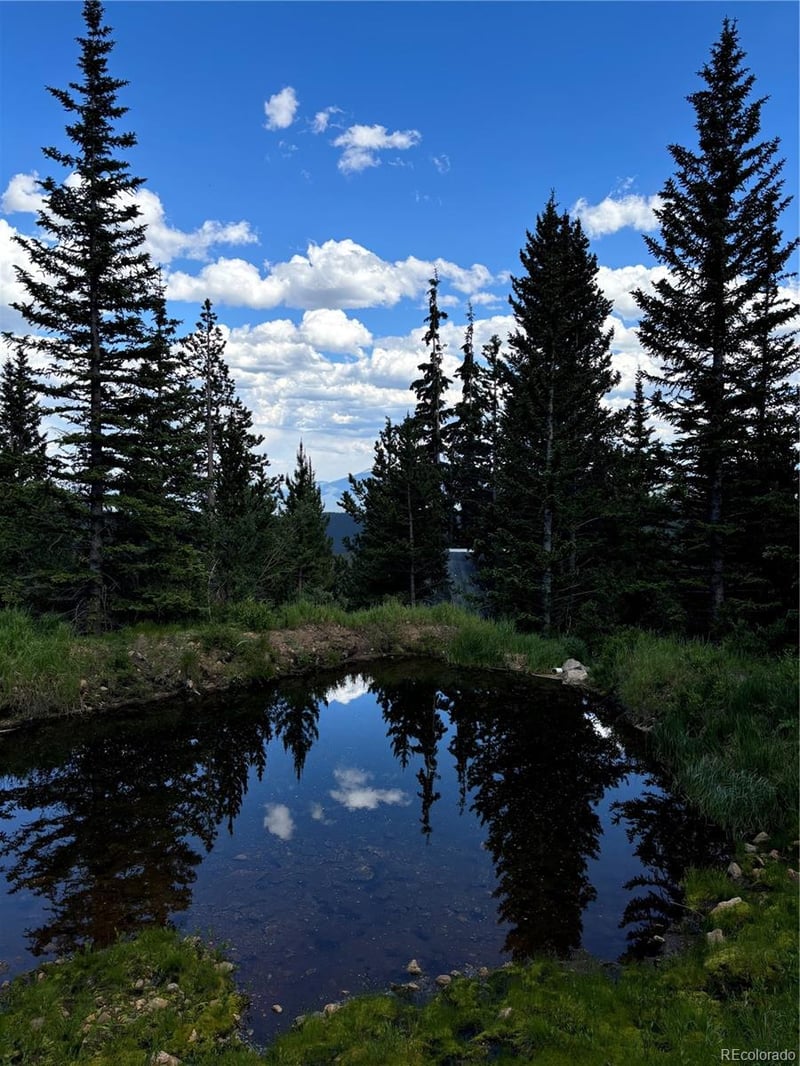 Hilltop Rd, Idaho Springs, CO 80452