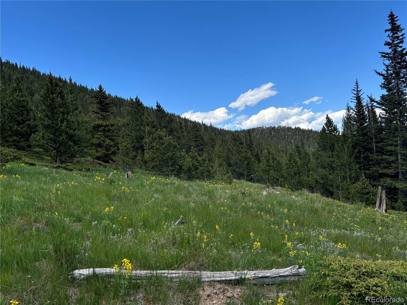 Hilltop Rd, Idaho Springs, CO 80452