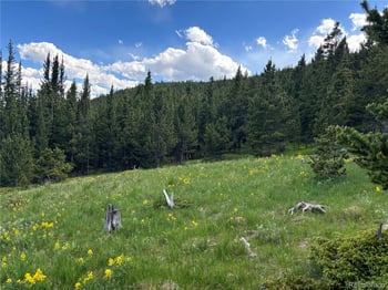 Hilltop Rd, Idaho Springs, CO 80452