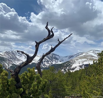 Hilltop Rd, Idaho Springs, CO 80452