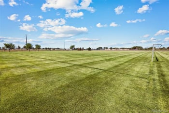 2165 Alyssa St, Fort Lupton, CO 80621