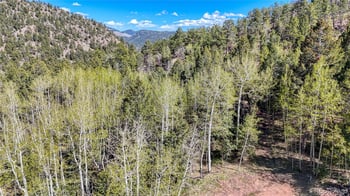 56 Fir Ln, Florissant, CO 80816